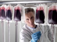 Зрелый мужчина врач обрабатывает донорскую кровь в мешках . — стоковое фото