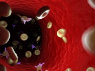 Células sanguíneas enfermas con bacterias, ilustración por computadora . - foto de stock