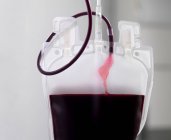 Sangre del donante que se separa en partes componentes en bolsa . - foto de stock