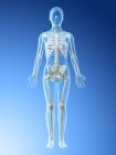 Абстрактная женская модель с видимым скелетом и лимфатической системой, компьютерная иллюстрация . — стоковое фото