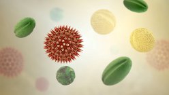 Pollen grains from different plants, computer illustration — Stock Photo