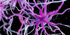 Rosafarbene Nervenzelle auf dunklem Hintergrund, digitale Illustration. — Stockfoto