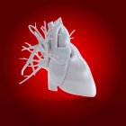 Grey human heart model on red background, computer illustration. — Stock Photo