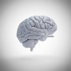 Modelo de cérebro humano branco em fundo plano, ilustração digital . — Fotografia de Stock