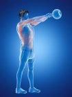 Musculatura del hombre haciendo entrenamiento de kettlebell, ilustración digital conceptual . - foto de stock