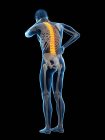 Rear view of male body in full length with back pain, conceptual illustration. — Stock Photo
