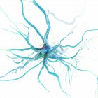 Celda nerviosa de color azul sobre fondo blanco, ilustración digital . - foto de stock