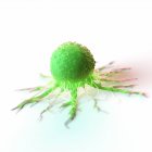 Cellule cancéreuse de couleur verte abstraite sur fond blanc, illustration numérique
. — Photo de stock
