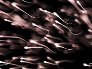 Спермові клітини, абстрактний цифровий приклад. — стокове фото