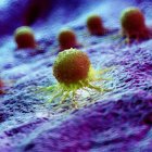 Cellule tumorali astratte di colore verde su tessuto, illustrazione digitale
. — Foto stock