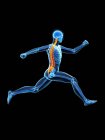 Боковой вид мужского тела бегуна с болью в спине в действии, концептуальная иллюстрация
. — стоковое фото