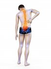 Vista trasera del cuerpo masculino con inflamación y dolor de espalda, ilustración conceptual . - foto de stock