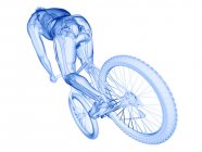Transparente Silhouette eines Mannes auf einem Fahrrad mit sichtbaren Knochen, Computerillustration. — Stockfoto