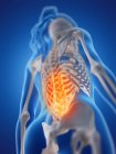Silhouette des weiblichen Körpers mit Rückenschmerzen in Tiefansicht, digitale Illustration. — Stockfoto