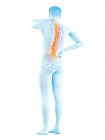 Cuerpo masculino con dolor de espalda en la vista trasera, ilustración conceptual
. - foto de stock