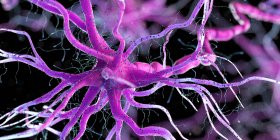 Фіолетова кольорова нервова клітина на темному фоні, цифрова ілюстрація. — стокове фото