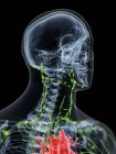 Abstrakter männlicher Körper mit sichtbarem Lymphsystem von Hals und Herz, Computerillustration. — Stockfoto