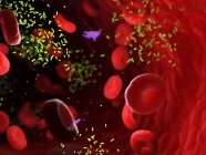 Бактерії, що знаходяться серед клітин крові в кровоносну судину, цифрова ілюстрація. — стокове фото