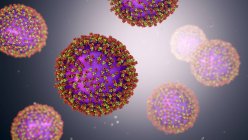 Partícula del virus del sarampión, ilustración por computadora . - foto de stock