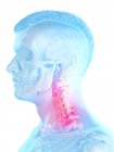 Corpo maschile astratto con dolore al collo dettagliato, illustrazione digitale concettuale . — Foto stock