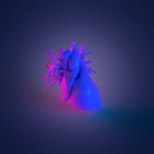 Buntes Modell des menschlichen Herzens auf dunklem Hintergrund, Computerillustration. — Stockfoto