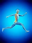 Visão lateral do corpo do corredor masculino com dor nas costas em ação, ilustração conceitual . — Fotografia de Stock