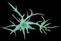 Célula nerviosa glial astrocitaria, ilustración digital . - foto de stock
