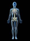 Modello femminile astratto con scheletro visibile e sistema linfatico, illustrazione al computer . — Foto stock