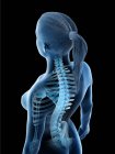 Anatomie et squelette du dos féminin, illustration par ordinateur . — Photo de stock