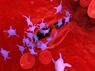 Активні тромбоцити в крові людини з еритроцитами та лейкоцитами, комп'ютерна ілюстрація . — стокове фото