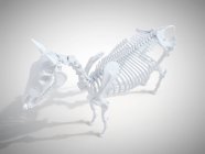 Scheletro di cavallo, rendering 3D realistico . — Foto stock