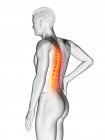 Вид збоку чоловічого тіла з болем у спині на білому тлі, концептуальна ілюстрація . — стокове фото