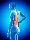 Seitenansicht des männlichen Körpers mit Rückenschmerzen auf blauem Hintergrund, konzeptionelle Illustration. — Stockfoto
