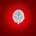Modelo de cérebro humano branco em fundo vermelho, ilustração digital . — Fotografia de Stock