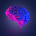 Résumé cerveau humain multicolore, illustration par ordinateur
. — Photo de stock