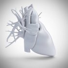 Сіра модель людського серця на білому тлі, комп'ютерна ілюстрація . — стокове фото