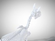 Кінський скелет, реалістична 3d візуалізація . — стокове фото