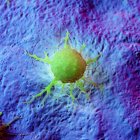 Cellula tumorale astratta di colore verde su tessuto, illustrazione digitale
. — Foto stock