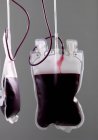 Sangre del donante que se separa en partes componentes en bolsas . - foto de stock