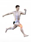 Silueta de corredor con dolor de rodilla, ilustración digital . - foto de stock