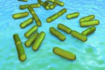 Green colored probiotic rod-shaped gram-positive aerobic Bacillus clausii bacteria restoring microflora of intestine. — Stock Photo