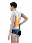 Vista lateral del cuerpo masculino con dolor de espalda sobre fondo blanco, ilustración conceptual . - foto de stock