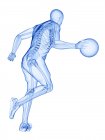 Skeleton of basketball player in action, computer illustration. — Stock Photo