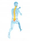 Vista trasera del cuerpo del corredor masculino con dolor de espalda en acción, ilustración conceptual . - foto de stock