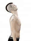 Silueta masculina que muestra anatomía de lesión en el cuello, ilustración digital . - foto de stock