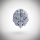 Modello di cervello umano bianco su sfondo chiaro, illustrazione digitale . — Foto stock