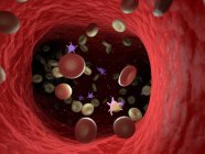 Células sanguíneas doentes com bactérias, ilustração computacional . — Fotografia de Stock