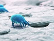 Acarien de poussière de couleur bleue, illustration numérique . — Photo de stock