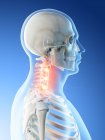 Абстрактное мужское тело с подробной болью в шее, концептуальная цифровая иллюстрация . — стоковое фото