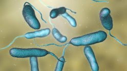 Вібріозна бактерія, знайдена в морській воді, кольорова комп'ютерна ілюстрація . — стокове фото